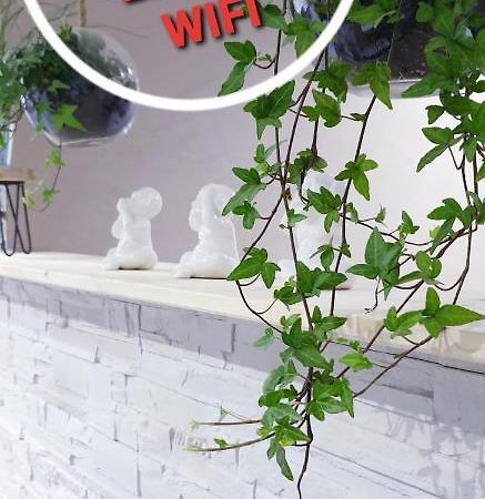 Studio zen et cosy, neuf en pleine ville Saint-Claude Exterior foto