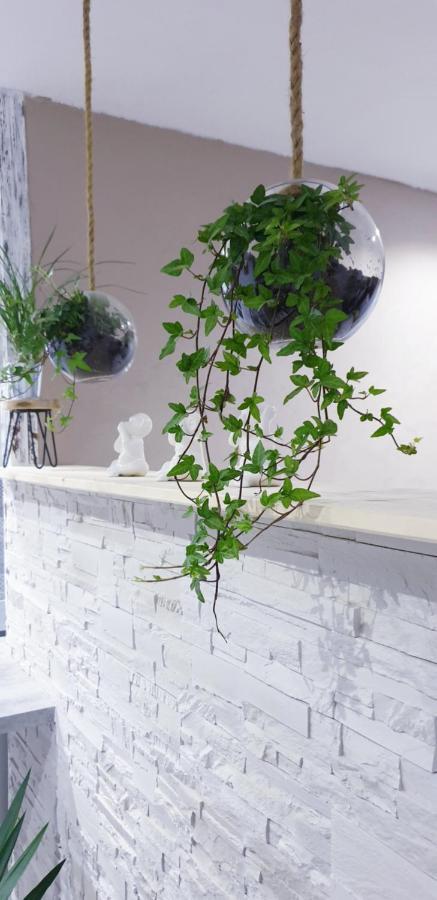 Studio zen et cosy, neuf en pleine ville Saint-Claude Exterior foto
